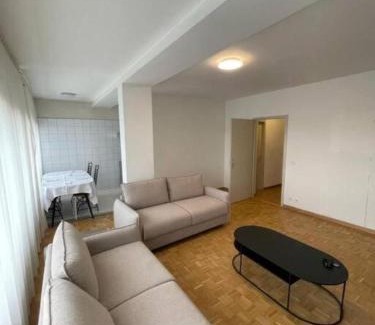 Le Grand-Saconnex Apartment | ONU - PALEXPO-AEROPORT Genève