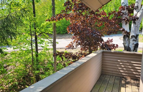 Lincoln House | Open concept, deck, fireplace, AC, pet-friendly, near Loon. C6301 by LRS