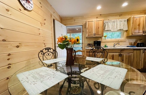 Hot Springs Cabin | Open! New Mountain Cabin, Privacy, Wildlife, Sunsets! Watch the Seasons Change