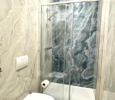 Innere Stadt Apartment | Opera apartment 149 m2