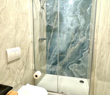Innere Stadt Apartment | Opera apartment 149 m2