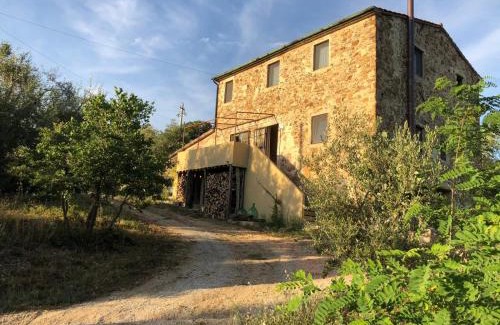 Suvereto House | Operaviva