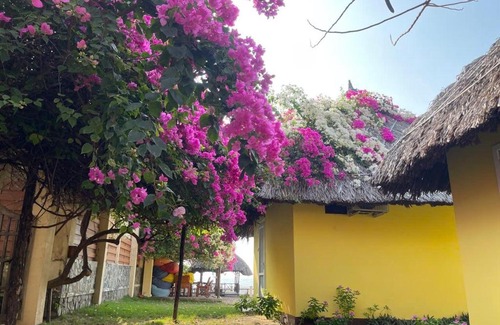 Phan Thiet Resort | Orchid Boutique Beach Resort