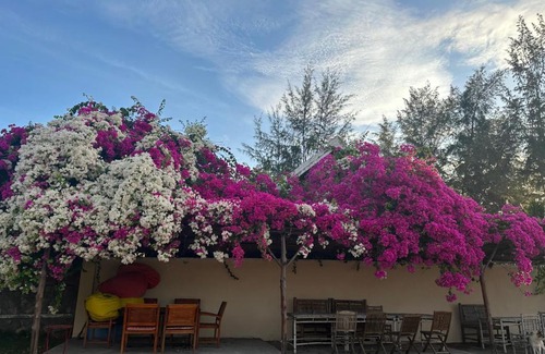 Phan Thiet Resort | Orchid Boutique Beach Resort