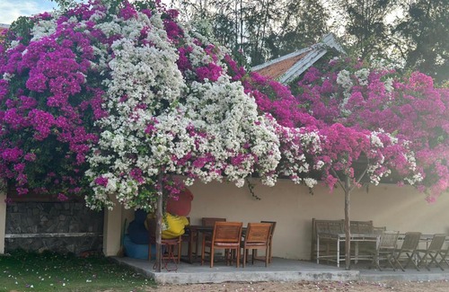 Phan Thiet Resort | Orchid Boutique Beach Resort