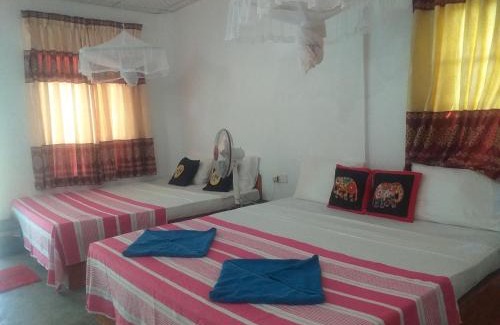 Sigiriya House | Organic farm Wish Prabha lake view homestay