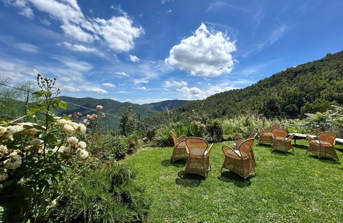 Pieve di Chio Apartment | Organic farm with a wonderful view! Large rooms and large pool. Alpaca hikes