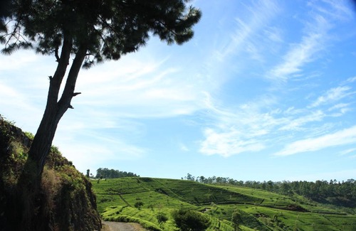 Bandarawela Hotel | Orient Hotel