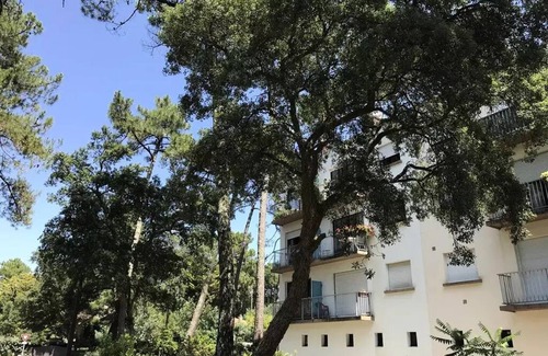 Les Estagnots Apartment | Orion Residence - Apartments for 3 People