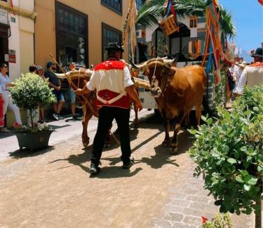 La Orotava House | OroCasa7