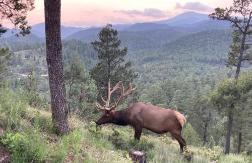 Ruidoso House | Oso Vista Cabin