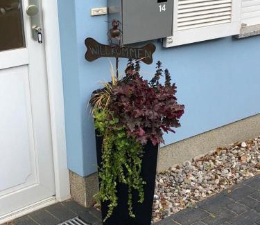 Wischuer House | Ostsee-Ferienhaus Colonia, Biendorf-Wischuer