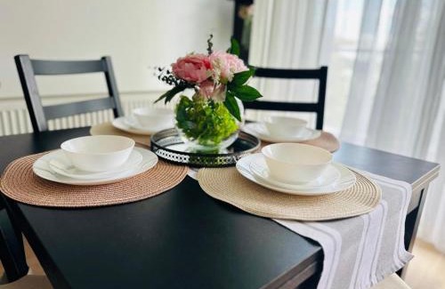 Otopeni Apartment | Otopeni Airport Apartment - Free Shuttle Included