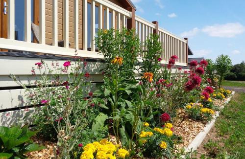 Dereham Resort | Otters Mead Boutique Lodges