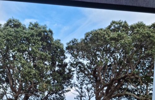 Te Kaha Ski Chalet | Our Coastal Hideaway No 2..