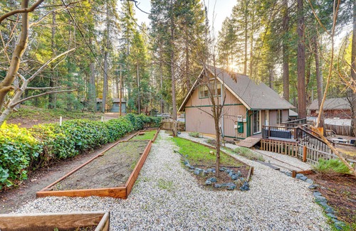 Nevada City Cottage | Outdoor Oasis: Modern Nordic Cottage By Lake!