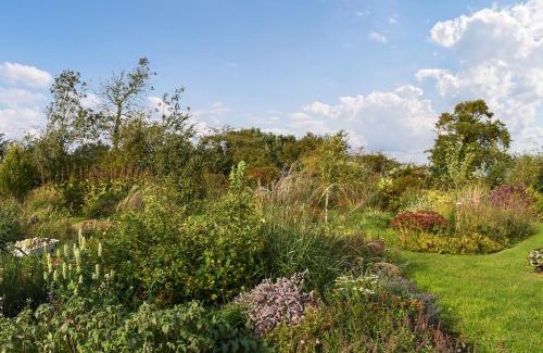 Diss House | Owls Nest