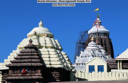 Puri Hotel | OYO 45069 MSM Residency