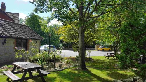 West Camel Hotel | OYO The Walnut Tree