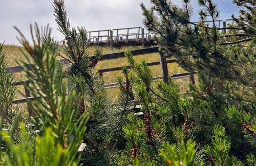 Shorepine Village House | Pacific City Serenity: Private Path to Beach