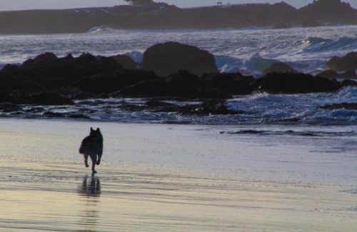 Pacific Grove Hotel | Pacific Gardens Inn