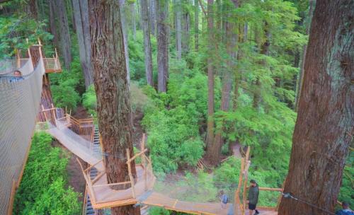 Crescent City House | Pacific Seaside House by Pebble Beach & Redwoods