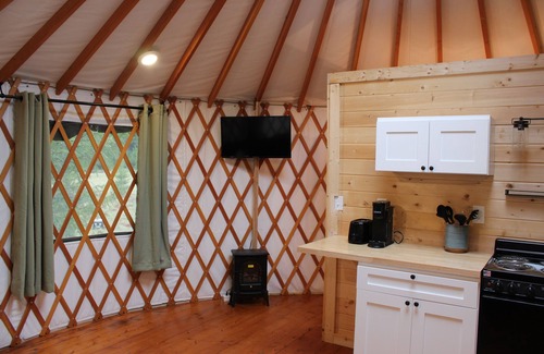 Pierce County Apartment | Pacific Yurt at the foothills of Mount Rainier with new Hot tub-Fire Pit-Wifi