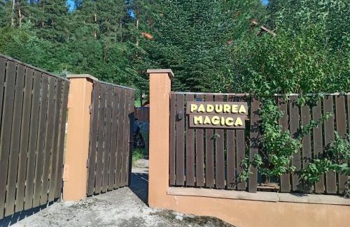 Tureni Other | Padurea Magica