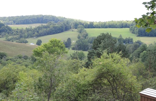 Cooperstown House | Pagey's View - Peaceful country setting over looking rolling hills, fire pit