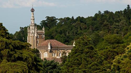 Luso Hotel | Palace Hotel do Bussaco