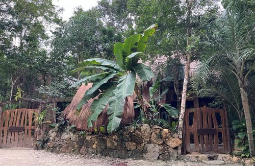 Villa Juarez House | Palapa de la Selva-Jungle House with Cenotes
