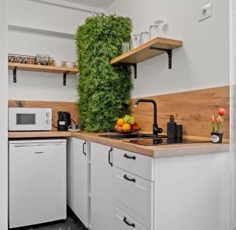Iasi Apartment | Palas Zen