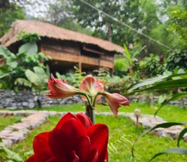 Ha Giang House | Palm Hill Chalet