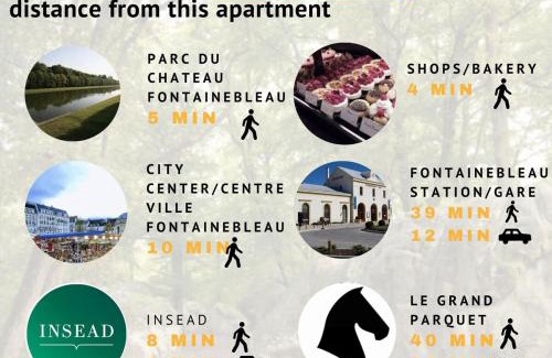 Fontainebleau Apartment | Palm house Sauna city center ideal Insead