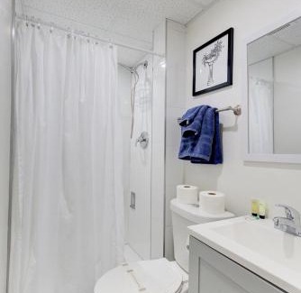 South Pinellas Community Council House | Palm Oasis-Serene Backyard Private Poolside