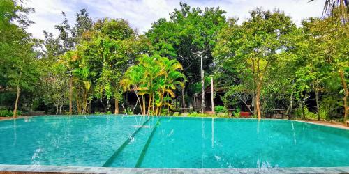 Siem Reap Resort | Palm Village Resort & Spa