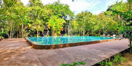 Siem Reap Resort | Palm Village Resort & Spa