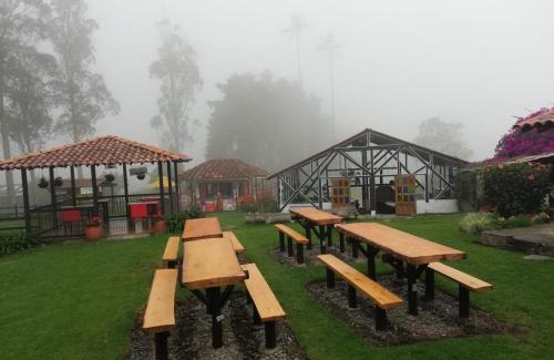 Salento House | Palmas de Cocora