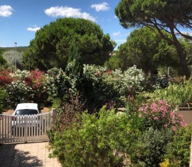 Les Ayguades House | PALMIER SOLEIL 410