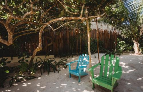 Zona Hotelera House | Palms house