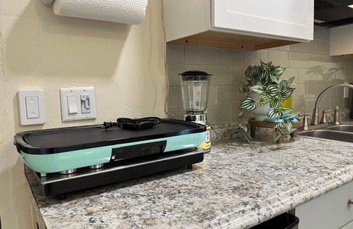Mount Dora Apartment | Palmy Jungalow, a Serene Studio, Mount Dora