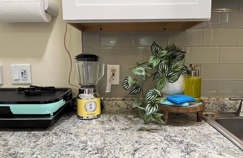 Mount Dora Apartment | Palmy Jungalow, a Serene Studio, Mount Dora