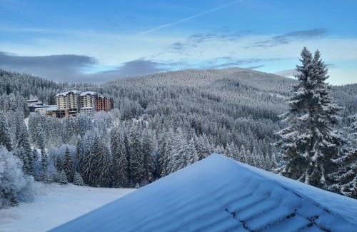 Pamporovo Apartment | Pamporovo hotel Snezhanka A640