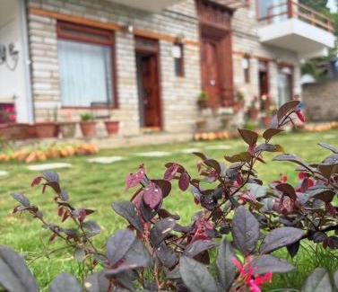 Almora House | Panchwati Farms Homestay