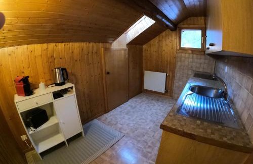 Matten bei Interlaken Apartment | Panorama Apartment