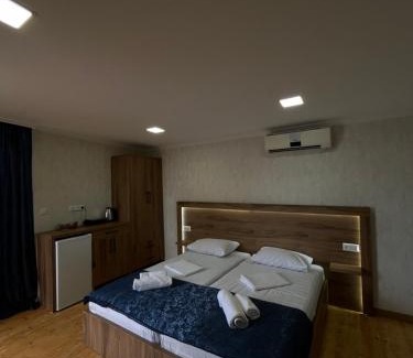 Kutaisi House | Panorama Bagrati