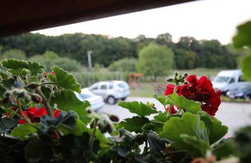 Cehu Silvaniei Bed & Breakfast | Panorama Cehu Silvaniei