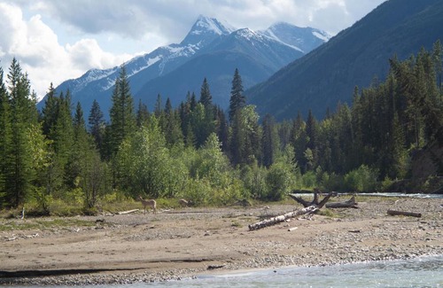 East Kootenay Apartment | Panorama Vacation Retreat at Horsethief Lodge