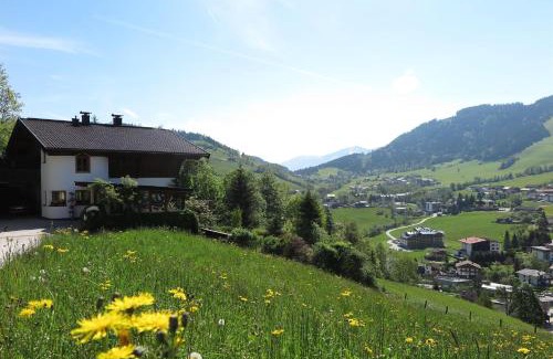 Niederau Apartment | Panoramachalet Tirolernaturschlaf