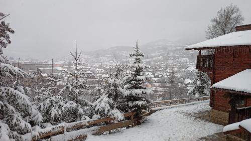 Viseu de Sus House | Panoramic Chalet